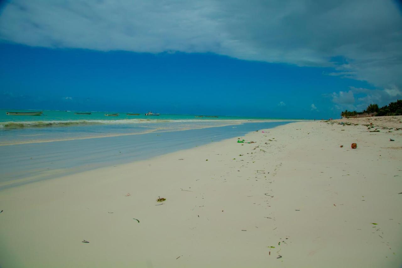 Pwani Beach Boutique Hotel Zanzibar 프와니 음찬가니 외부 사진